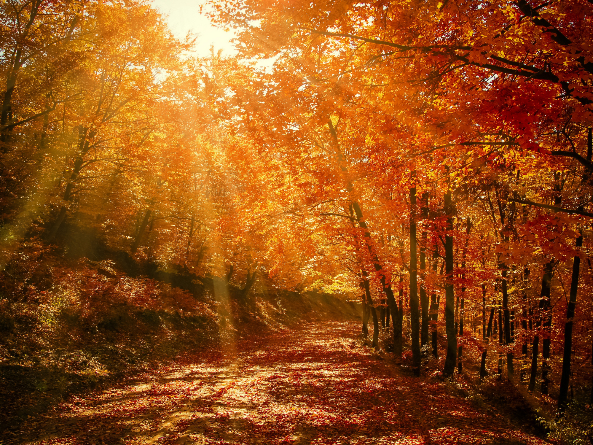 The Wonder of the Autumn Equinox