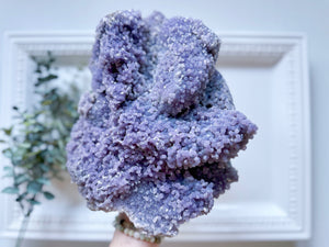 Grape Agate Cluster || Showpiece