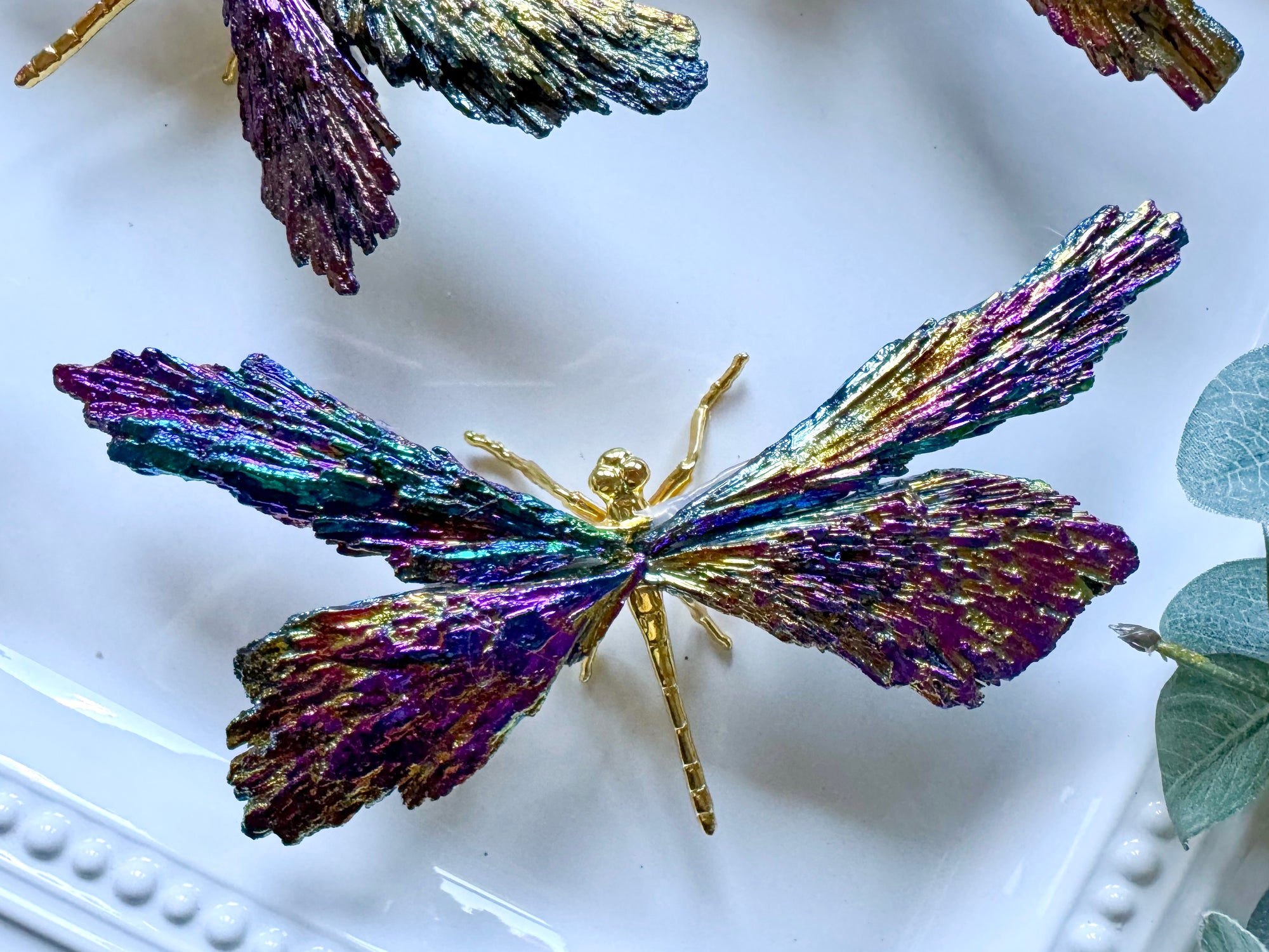 Aura Black Kyanite Dragonfly