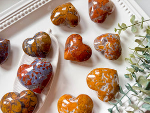 Brecciated Jasper in Agate Heart