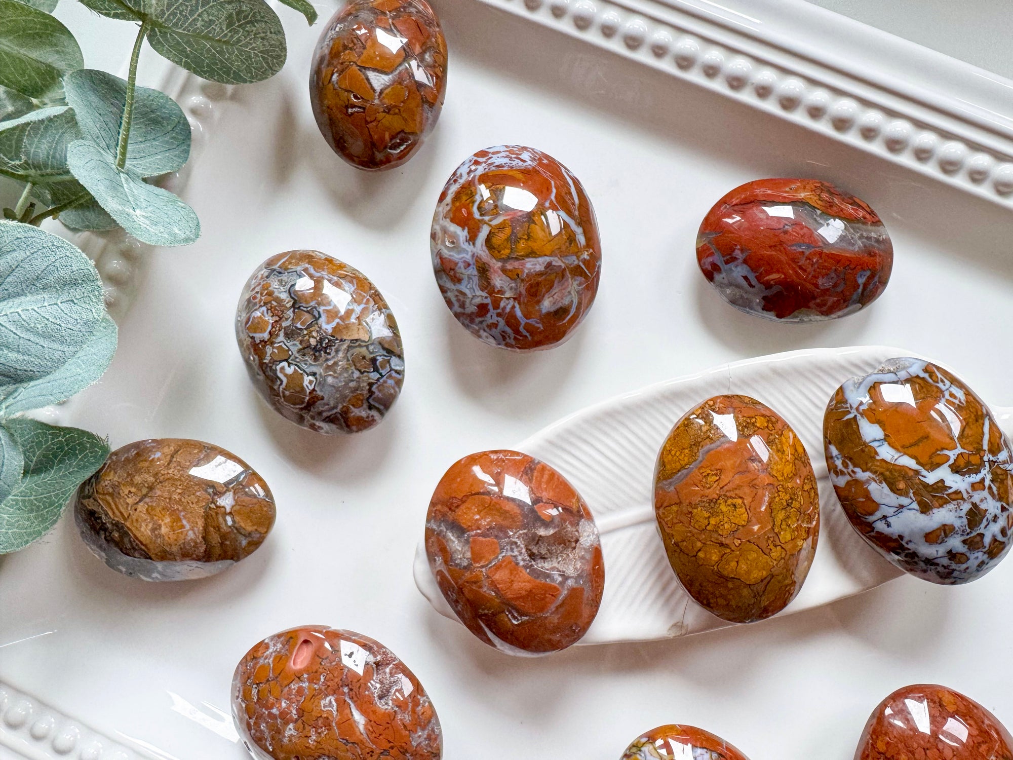 Brecciated Jasper in Agate Palm 