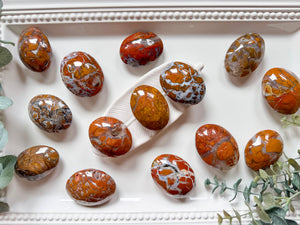 Brecciated Jasper in Agate Palm 