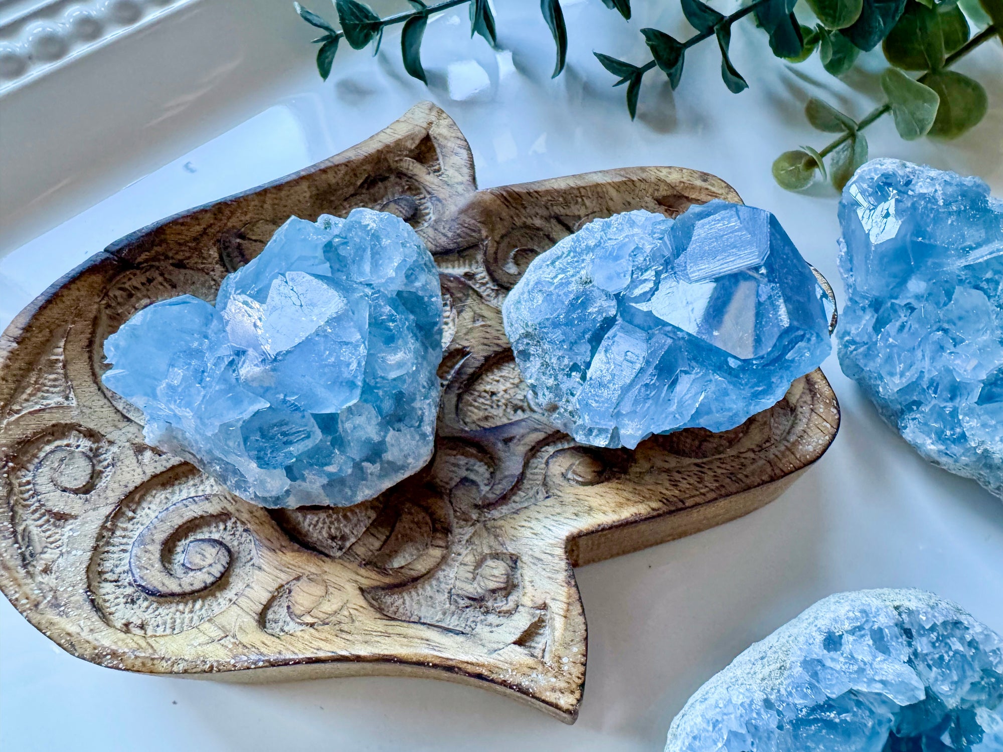 Celestite Cluster || Premium