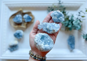 Celestite Cluster || Premium