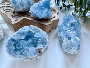 Celestite Cluster || Premium