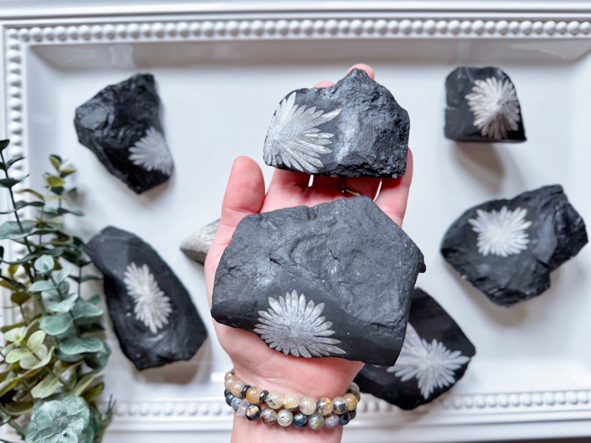 Chrysanthemum Stones