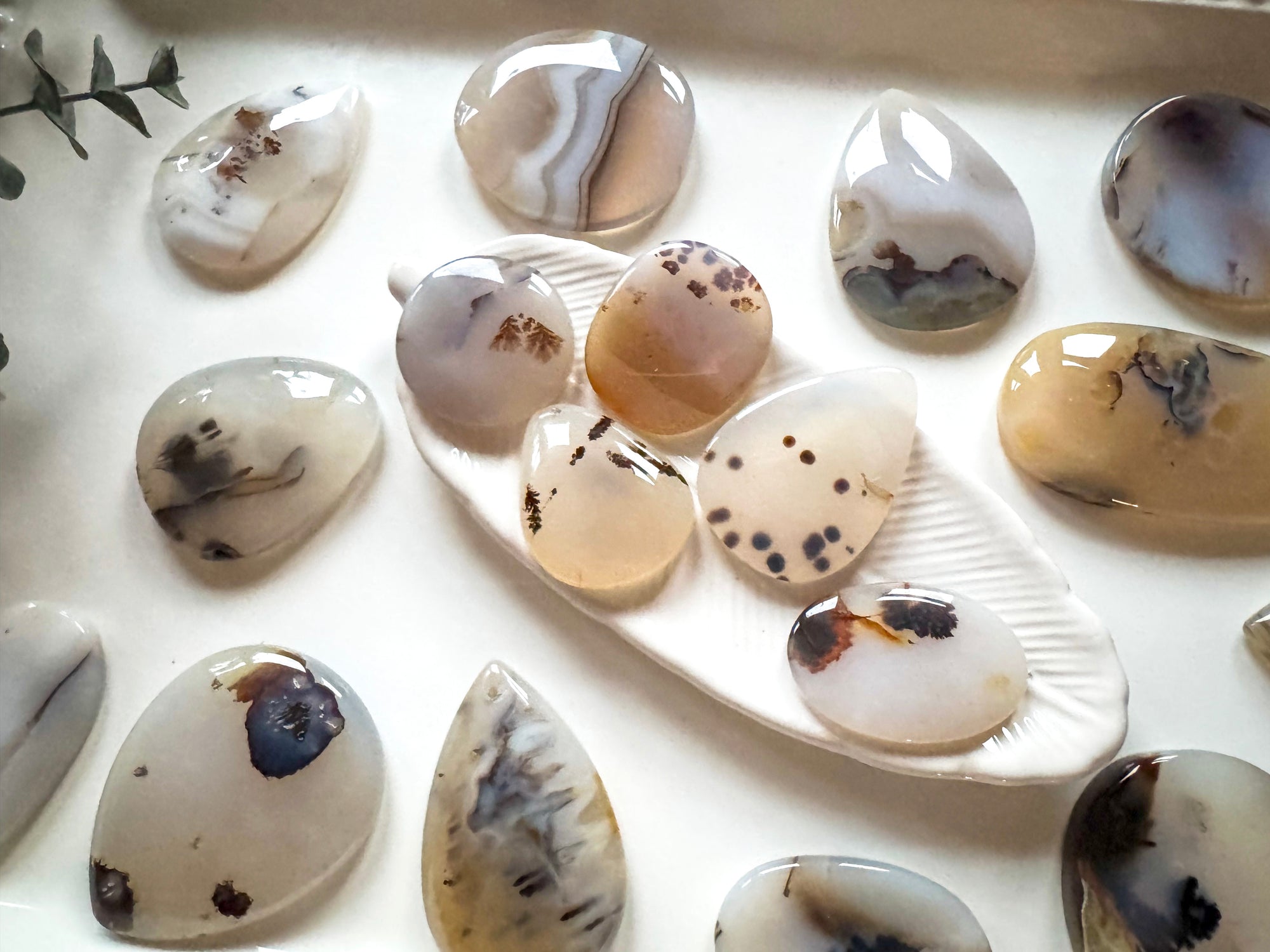 Dendritic Agate Shapes