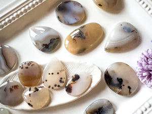 Dendritic Agate Shapes