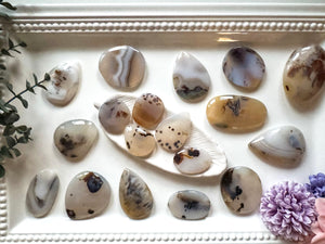 Dendritic Agate Shapes