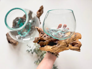 Drift Wood & Blown Glass Bowl