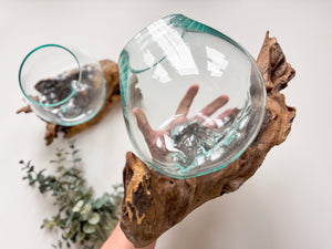 Drift Wood & Blown Glass Bowl