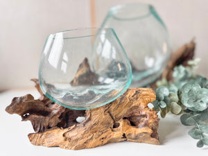 Drift Wood & Blown Glass Bowl