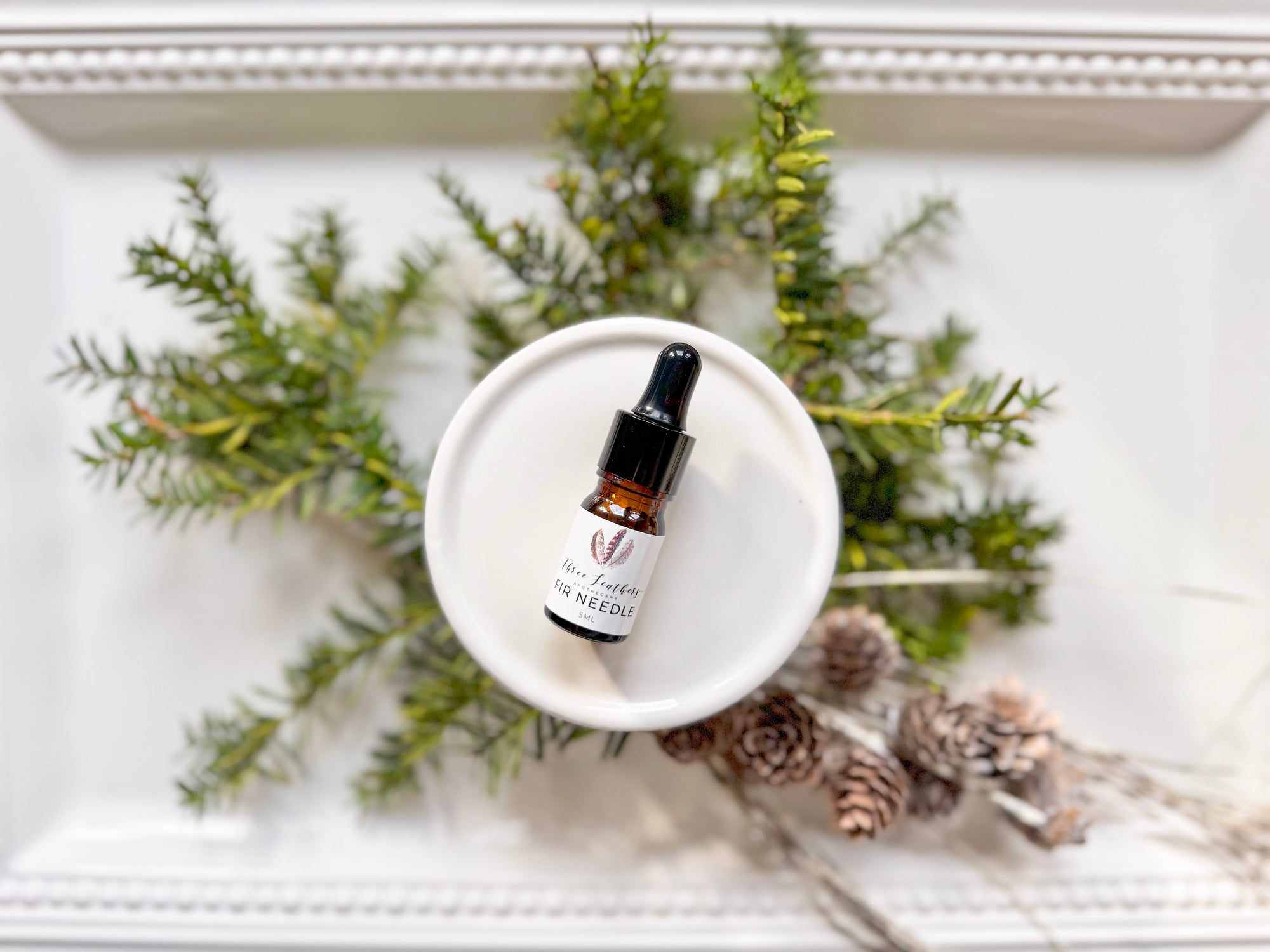 Fir Needle Single Note 5ml || Three Feathers Apothecary