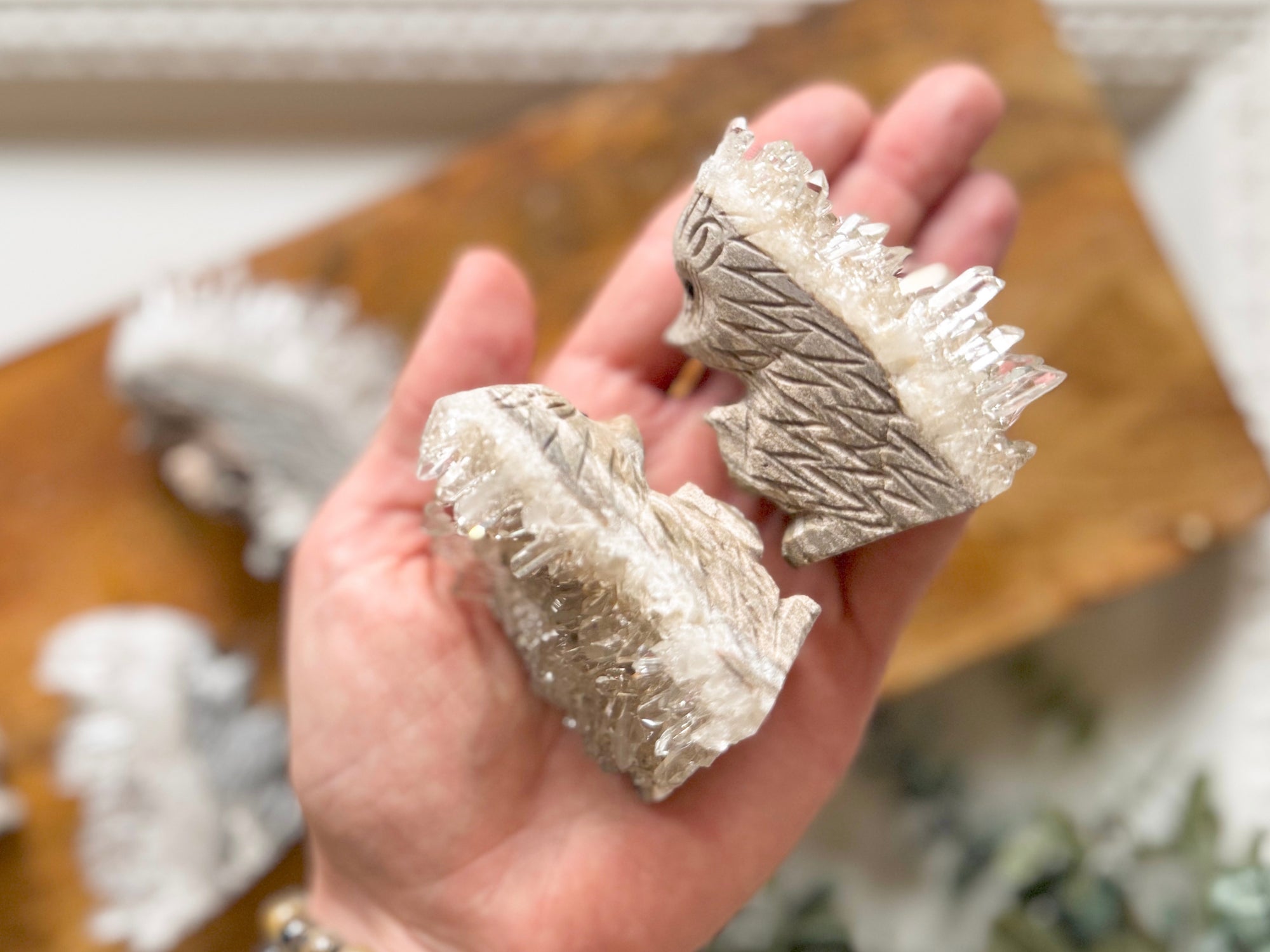 Hedgehog with Cluster Quartz Spines