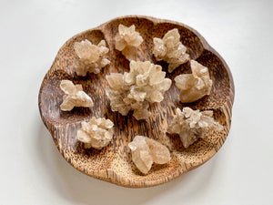 Golden Phantom Fishtail Selenite Clusters || Morocco