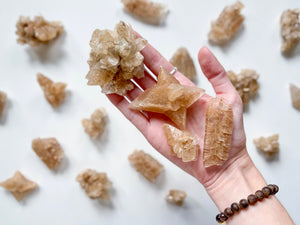 Golden Phantom Fishtail Selenite Clusters || Morocco