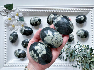 Peony Stone Palm Stone