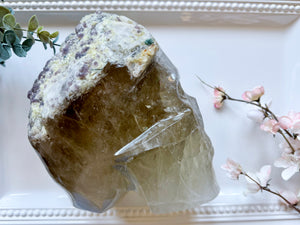 Citrine Skull with Inclusions || Brazil