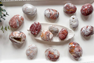 Mexican Crazy Lace Agate Palm Stone