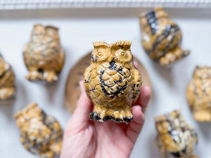 Picture Jasper Owl