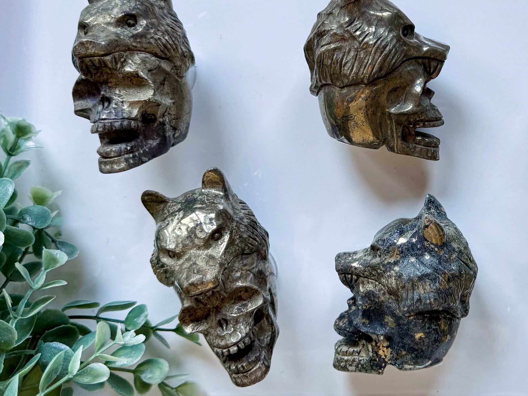 Pyrite Skull with Wolf Head