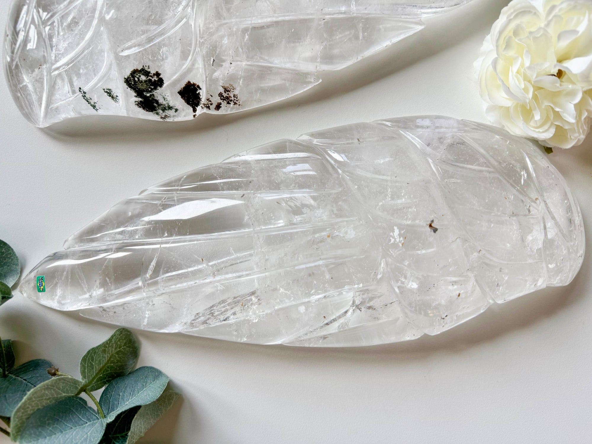 Quartz Angel Wing Single || Brazil