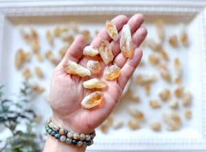 Raw Citrine Teeth