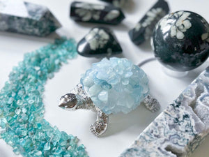 Turtle Crystal Tumble USB Light