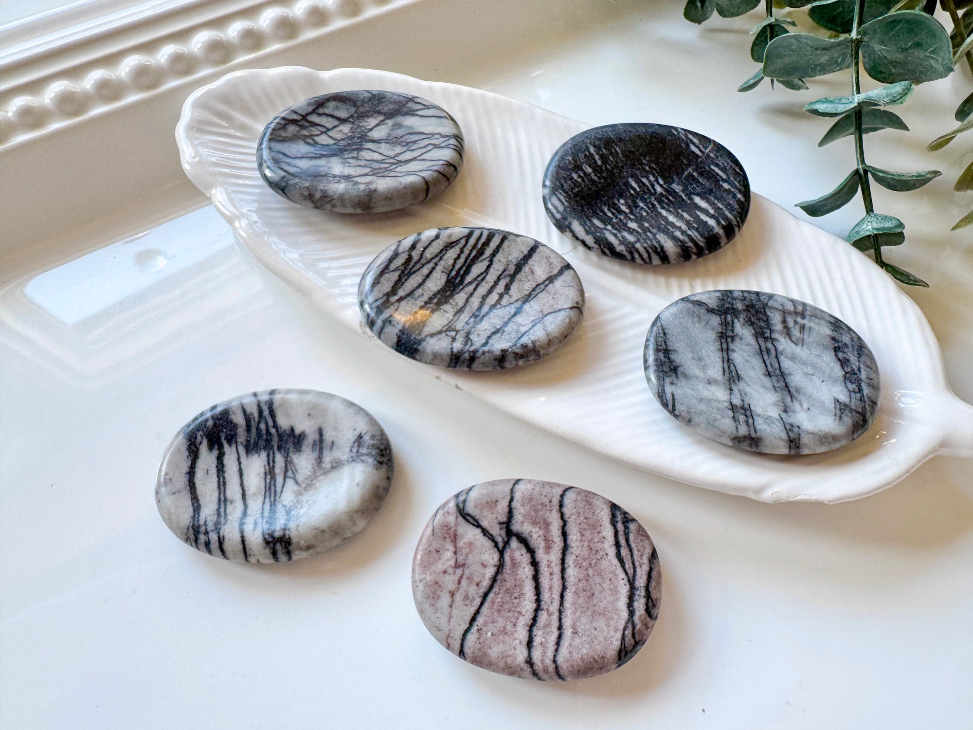 Zebra Jasper Worry Stone