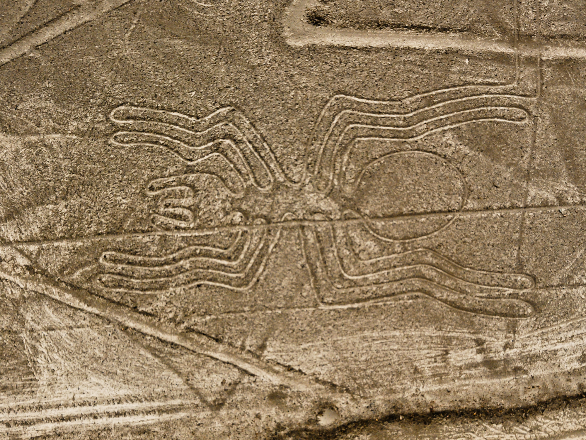 Nazca Line Stone