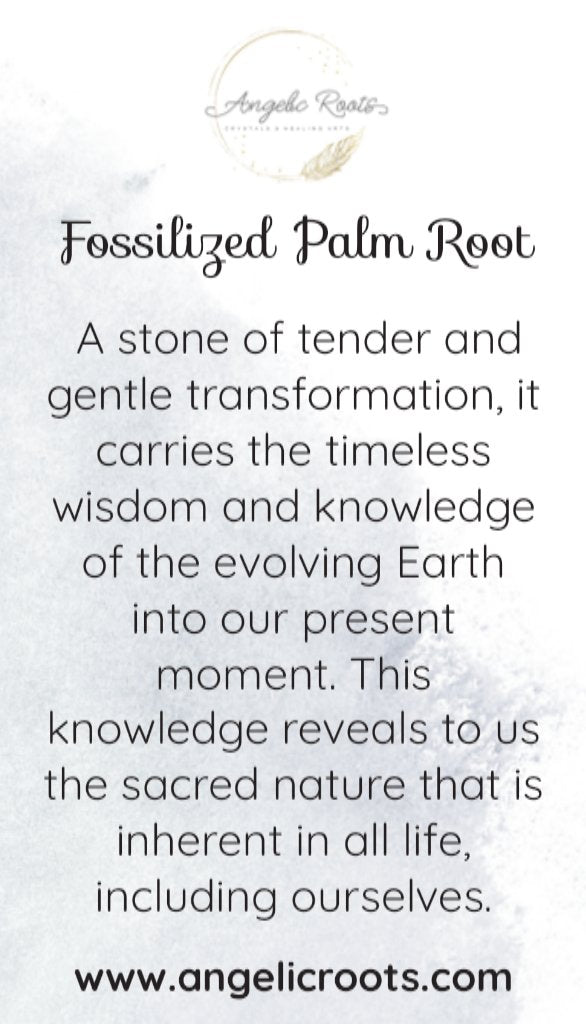 Fossilized Palm Root Crystal Card