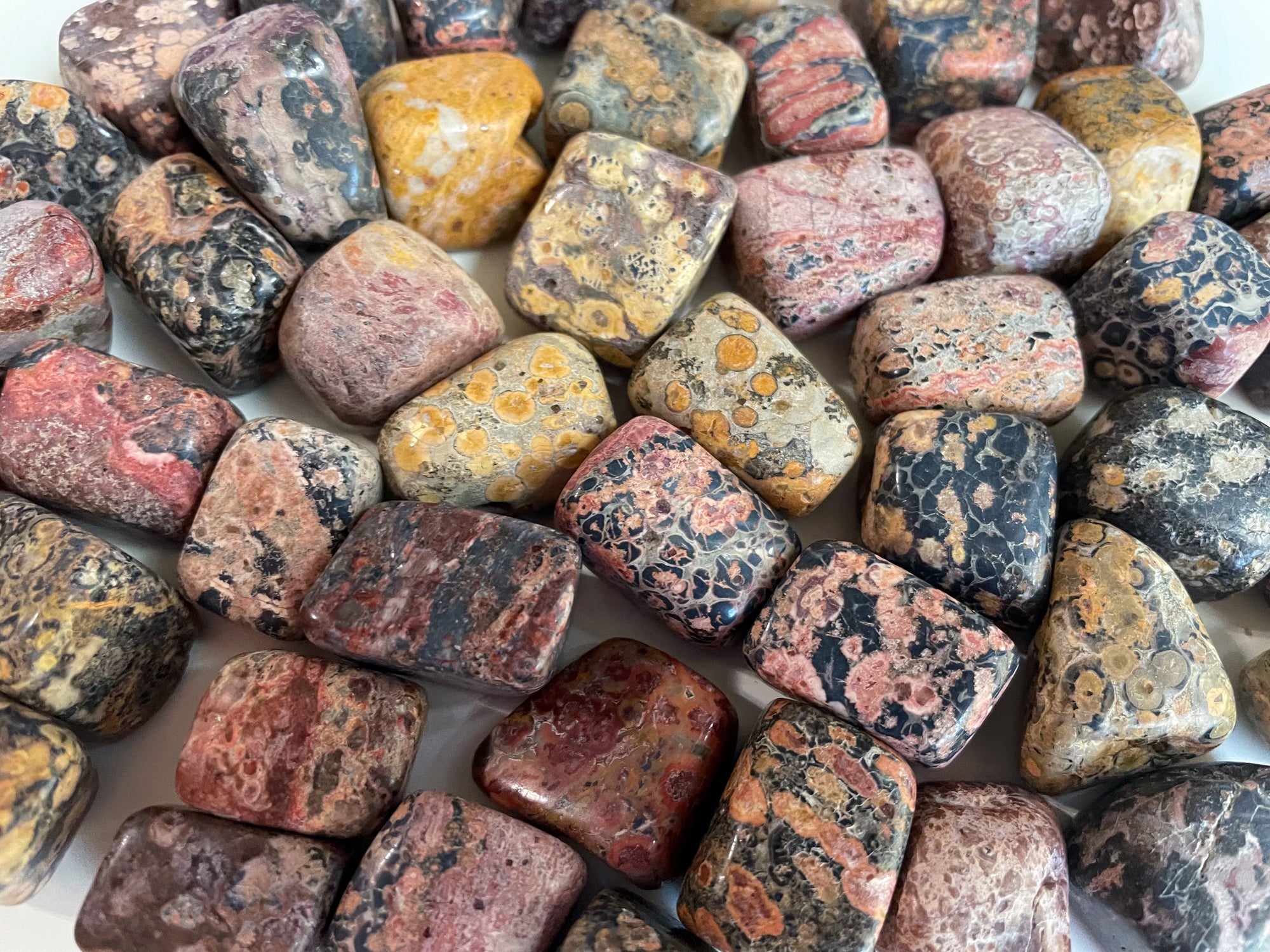 Leopard Skin Jasper Tumbled Stone