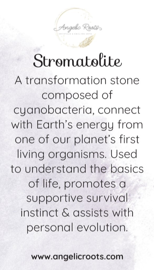 Stromatolite Crystal Card